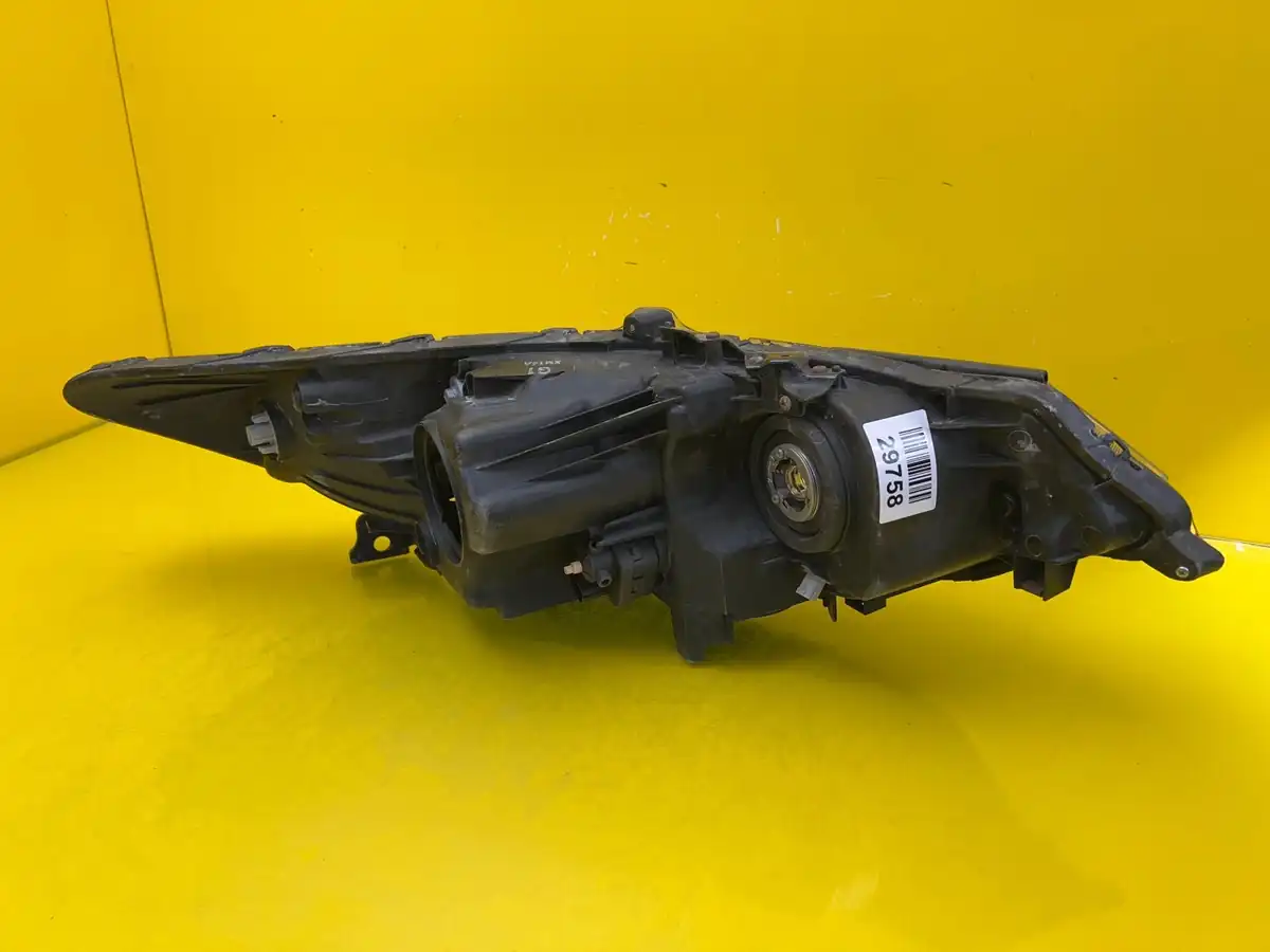 Far Honda Accord 8 VIII Xenon