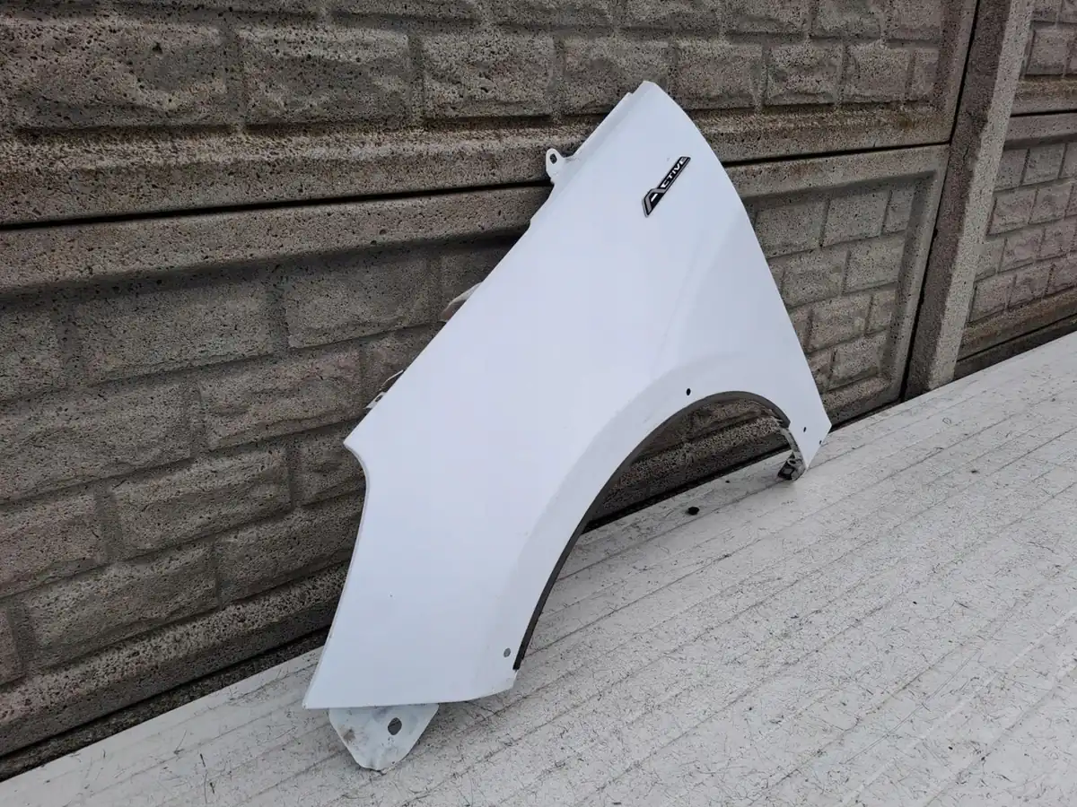 Aripa fata stanga Ford Fiesta Mk8 Active 17 24