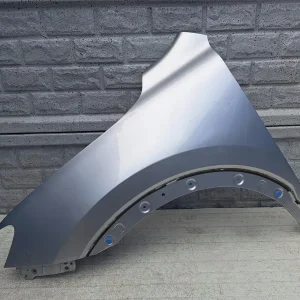 Aripa fata stanga Pozostale Mg Hs 18