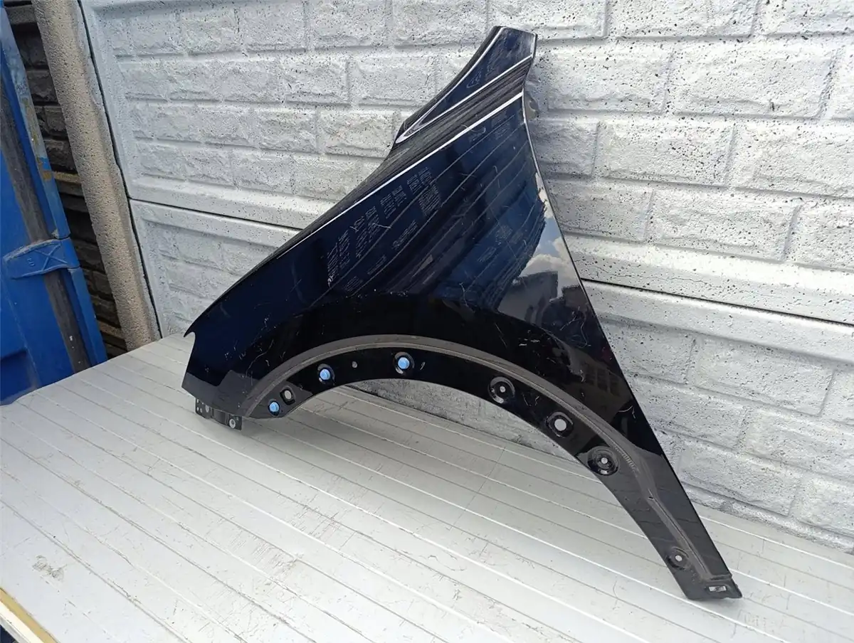 Aripa fata stanga Pozostale Mg Hs 18