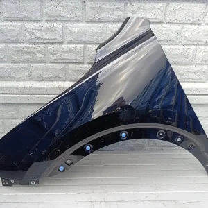 Aripa fata stanga Pozostale Mg Hs 18