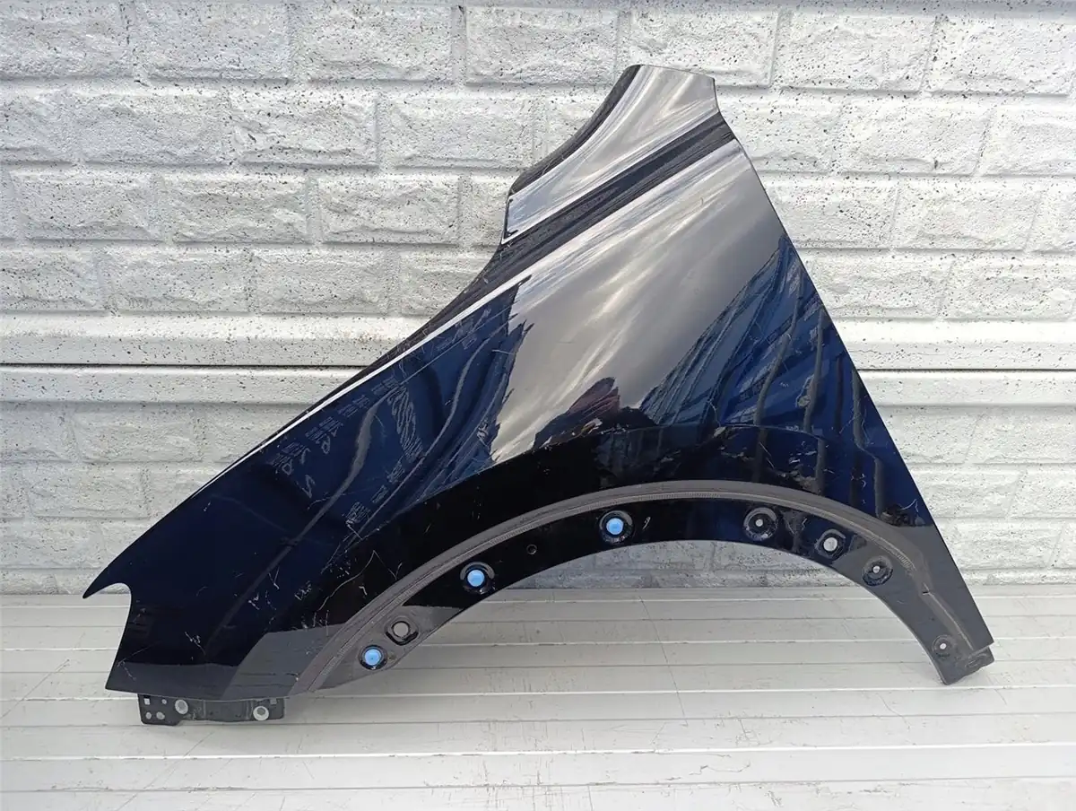 Aripa fata stanga Pozostale Mg Hs 18