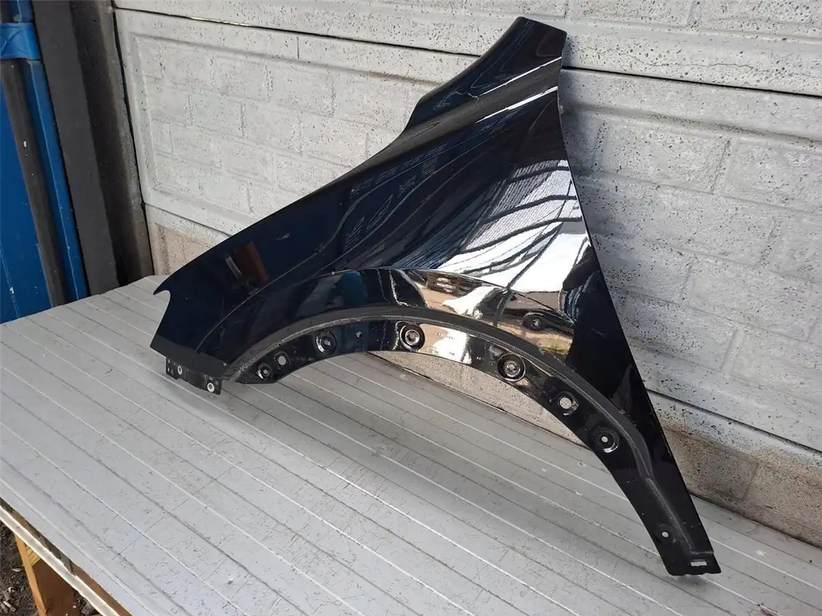 Aripa fata stanga Pozostale Mg Hs 18