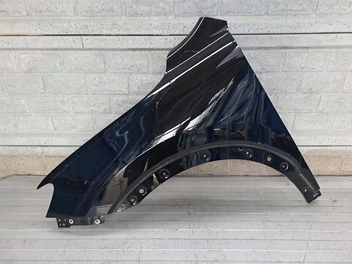 Aripa fata stanga Pozostale Mg Hs 18