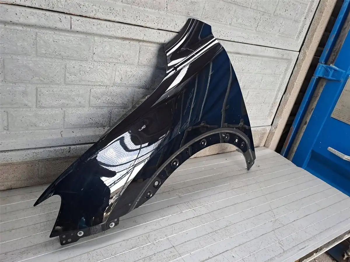 Aripa fata stanga Pozostale Mg Hs 18