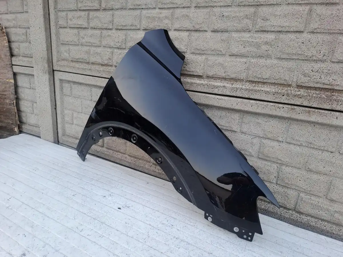 Aripa fata dreapta Pozostale Mg Hs 18