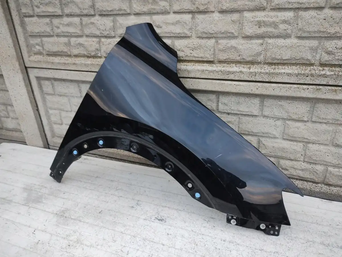 Aripa fata dreapta Pozostale Mg Hs 18