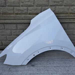 Aripa fata stanga Pozostale Mg Zs Ev