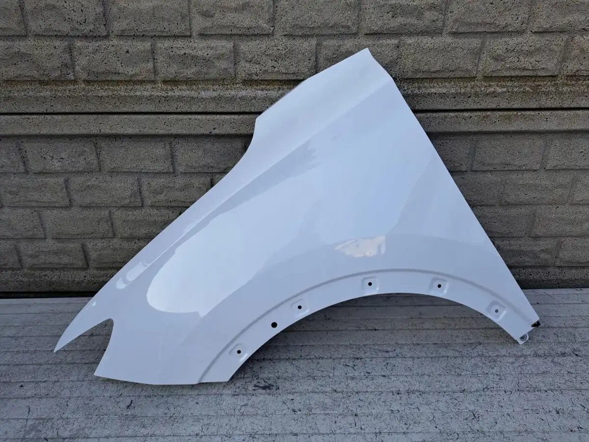 Aripa fata stanga Pozostale Mg Zs Ev