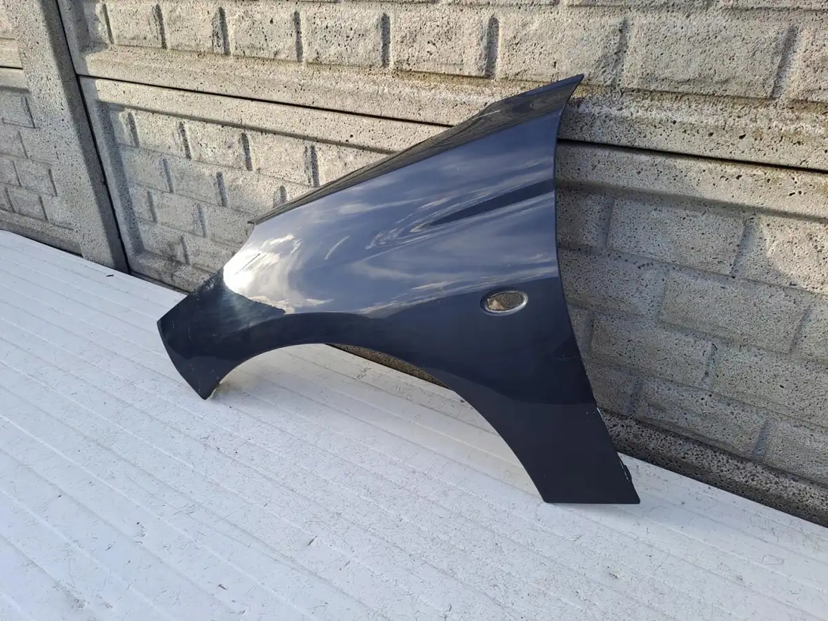 Aripa fata stanga Peugeot 206 Plus
