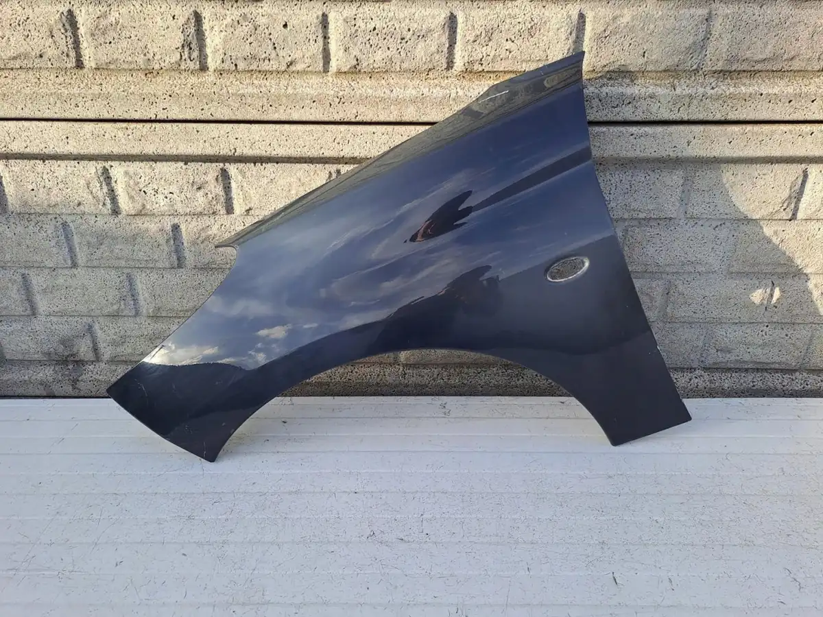 Aripa fata stanga Peugeot 206 Plus