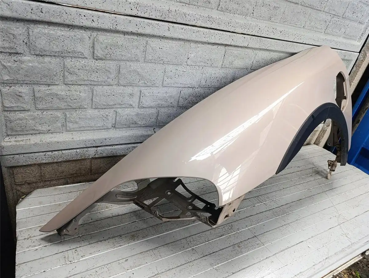 Aripa fata stanga Porsche Taycan 9j1 9 J