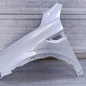 Aripa fata stanga Renault Arkana 2021 25
