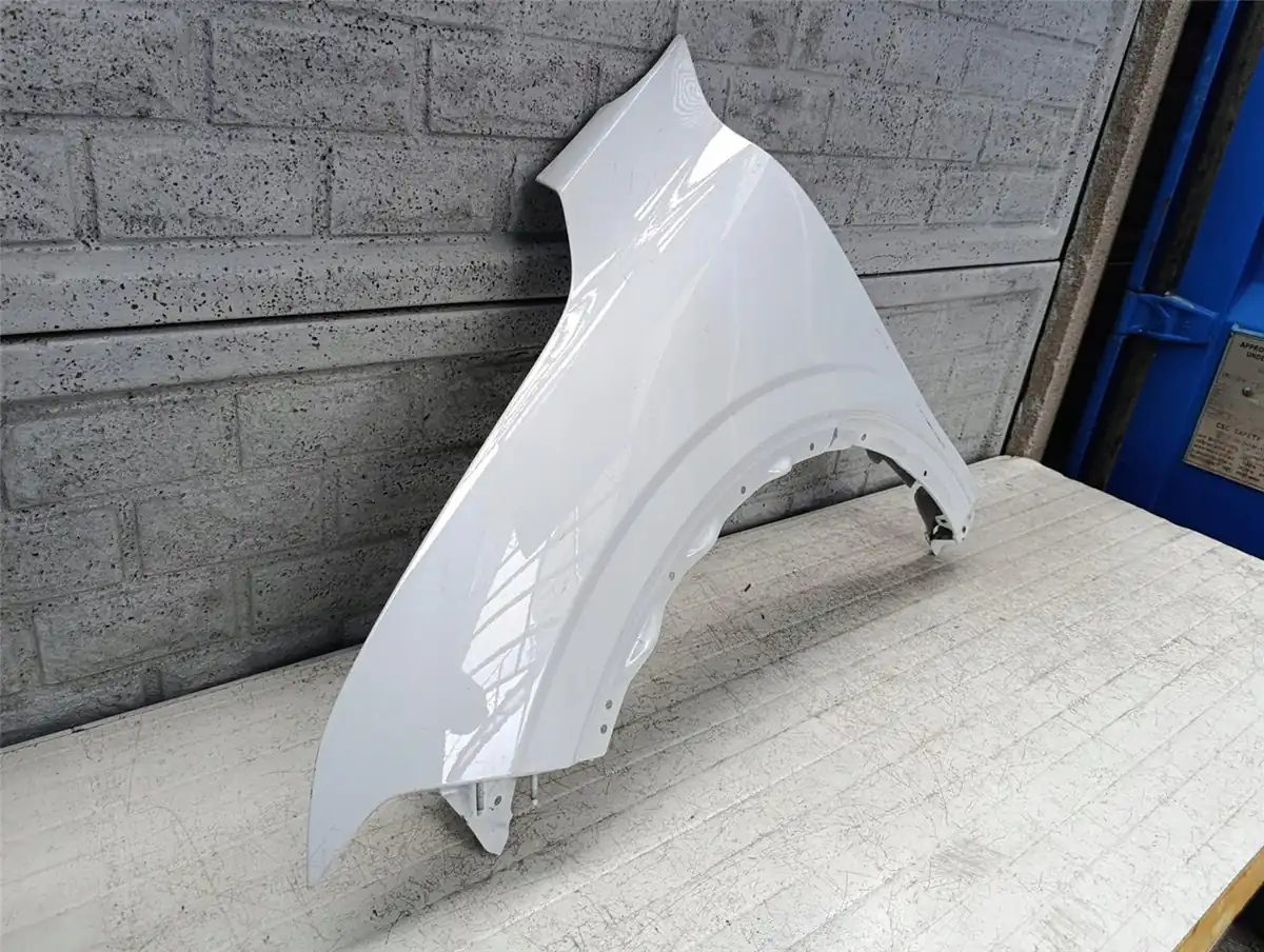 Aripa fata stanga Renault Megane 5 V E Tech 24