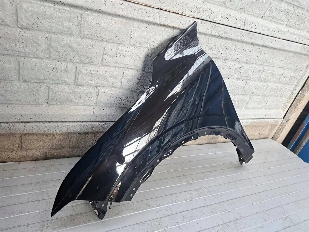 Aripa fata stanga Renault Megane 5 V E Tech 24