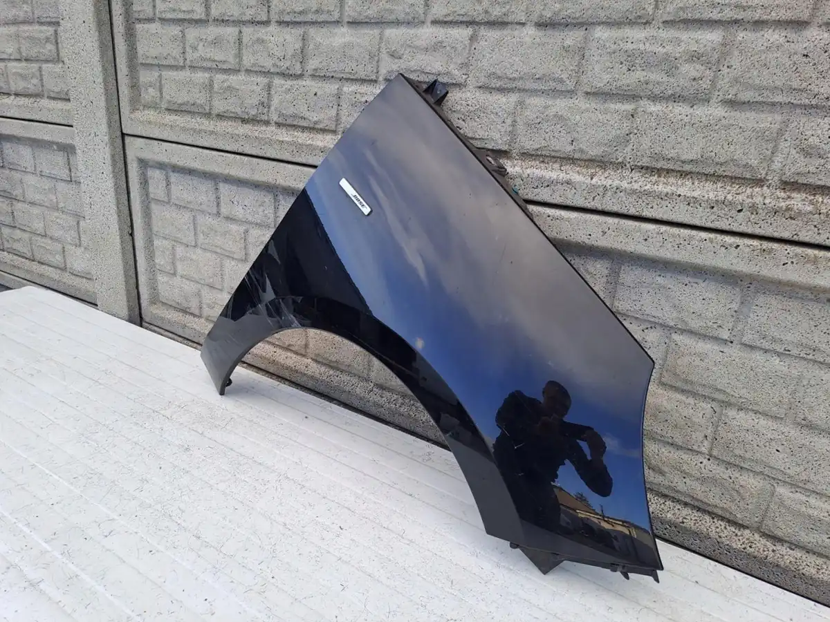 Aripa fata dreapta Renault Scenic 3 Iii Lift