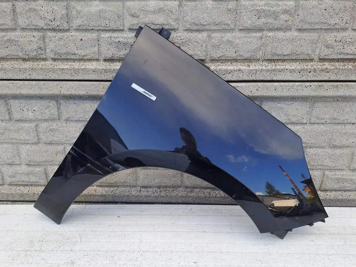 Aripa fata dreapta Renault Scenic 3 Iii Lift