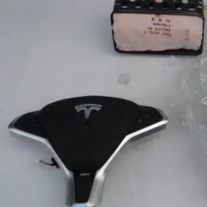 Tesla S X Volan Pasager