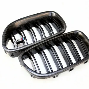 Grila Carbon BMW F10