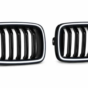 Grila Carbon BMW F30 F31