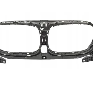 Grila Carbon BMW X3 G01